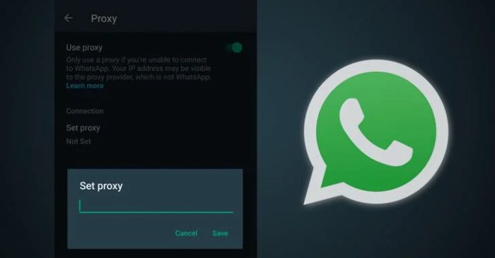 Third party whatsapp clients could see users banned for life