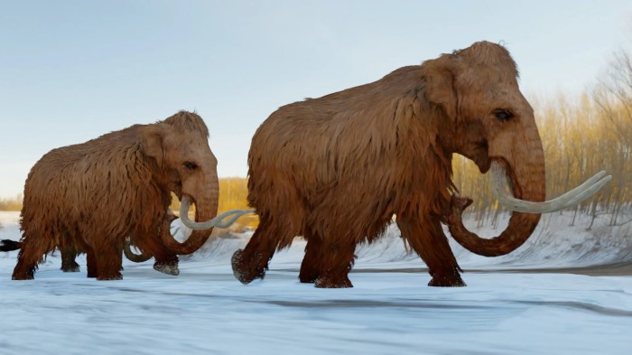 Geneticist looks forward to cloning a mammoth