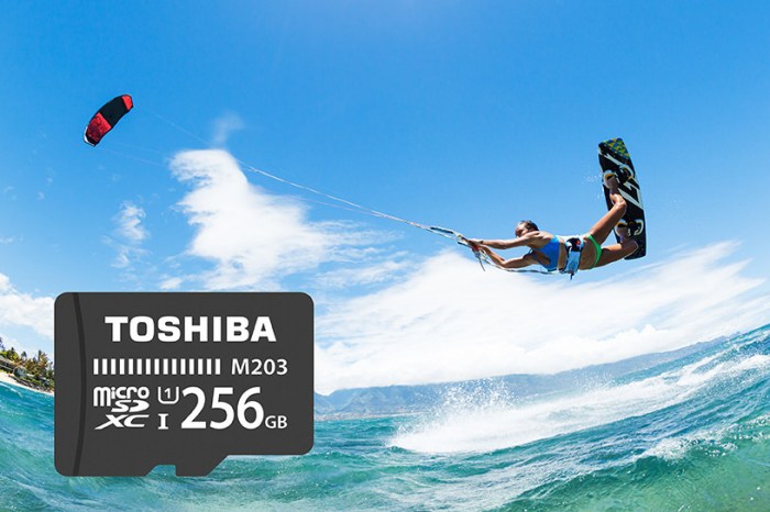 Toshiba targets action photographers with new microsd cards